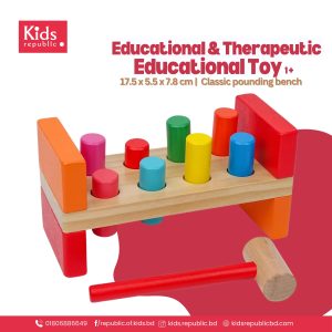Educational & Therapeutic  Educational Toy