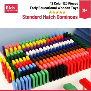 12 Color 120 Pieces Standard Match Dominoes